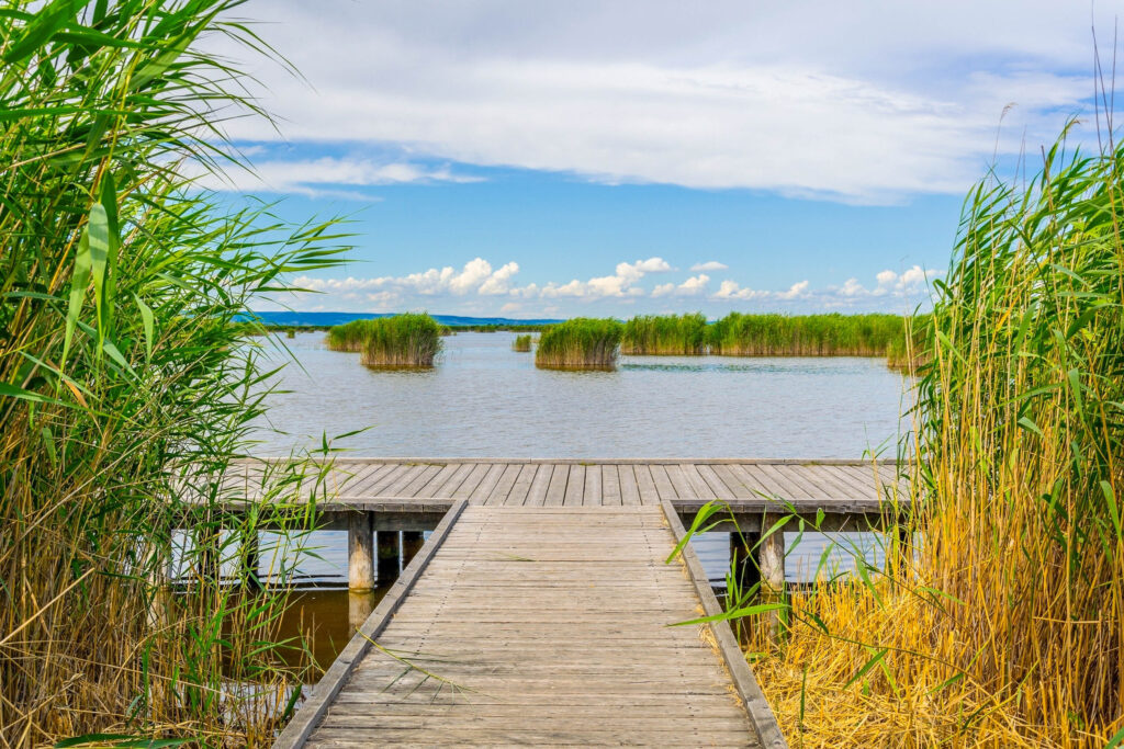 Neusiedlersee